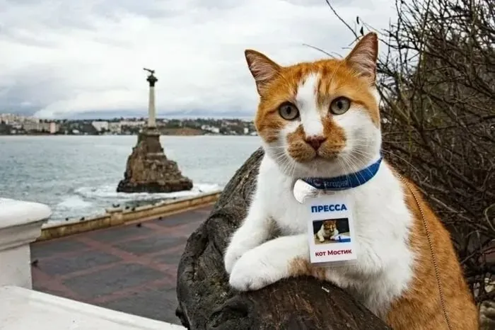 ijKMKIzygcPbgjmAQl7_syImubogesHO8AAOsJbSiQbijau4LCVoy9vuOhLZT6fo3w0920z0wWlH_9hoQTES0y_q